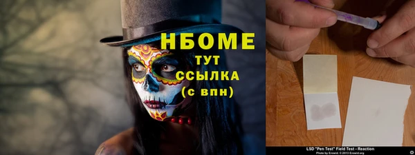 крисы Магас