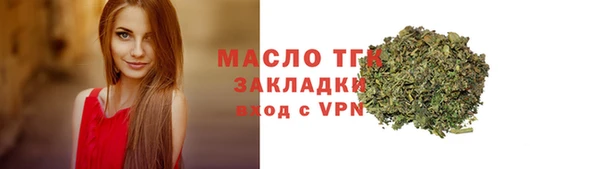 крисы Магас