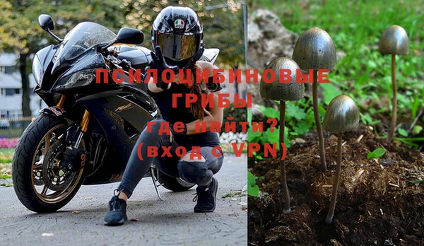 мяу мяу мука Медвежьегорск