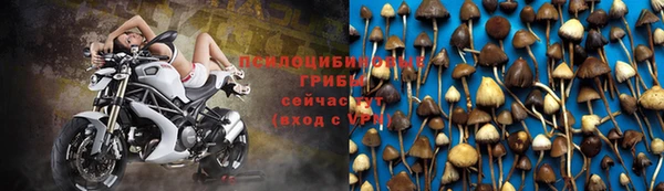 винт Медногорск
