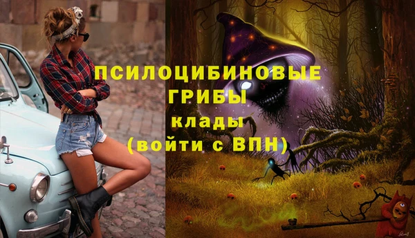 крисы Магас